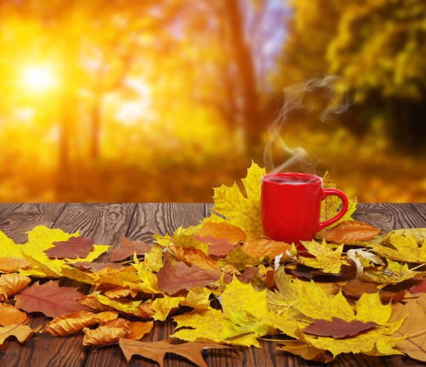 istock Autumn leaves and hot steaming cup of coffee. 1064686020