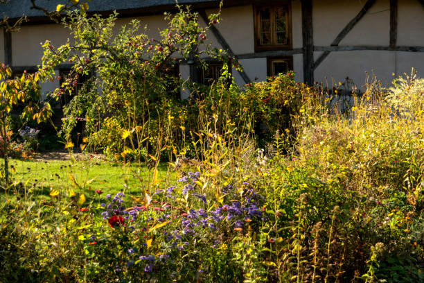 istock Farmer garden on Fischland 1064688818