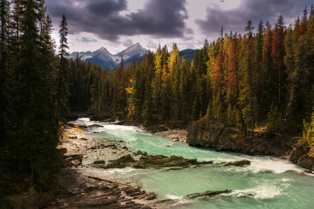 istock Typical scene in the Canadian rockies 1064689126