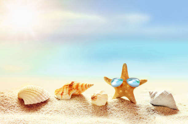 istock Beach. Summer. Starfish in sunglasses on the seashore. 1064692154