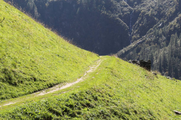 istock A path on a green grass hill, with high mountains, fir and pine tree forests and green pastures in Val d'Otro, Piedmont region, Alps mountains, Italy 1064695036