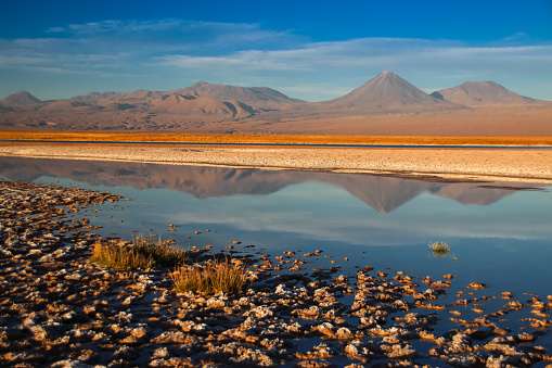 golden light and reflection at a lagoon in the Atacama desert in Chile