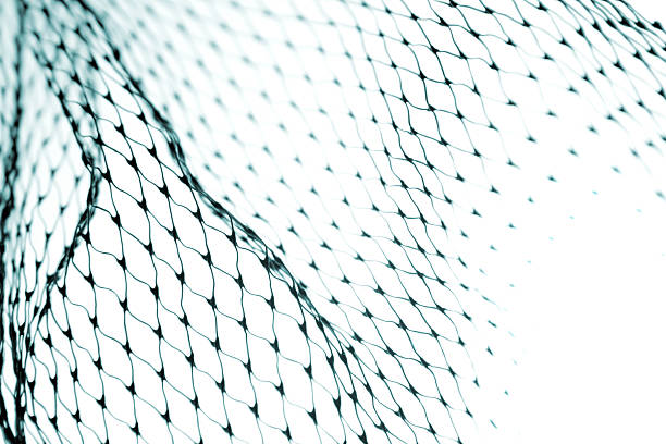 Net  fishing net photos stock pictures, royalty-free photos & images