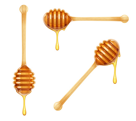Honey Dipper. Set of Wooden Spoon for liquid sweetness. Realistic wood traditional food utensils. Isolated white background. EPS10 vector illustration.