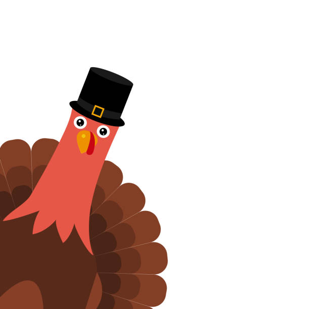 illustrazioni stock, clip art, cartoni animati e icone di tendenza di turchia pilgrimin il giorno del ringraziamento - turkey thanksgiving farm meal