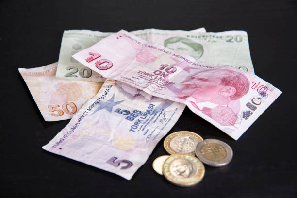 istock Turkish lira bills and coins on black and white background 1064715302