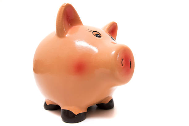 istock Cute piggy bank 1064716290