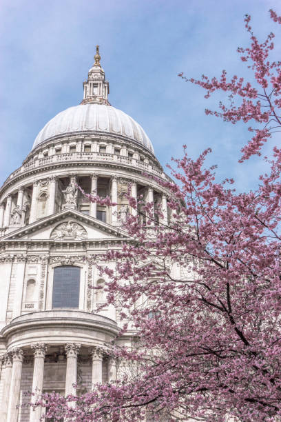 istock St Paul's Cathedral and Spring Cherry Blossom 1064718636