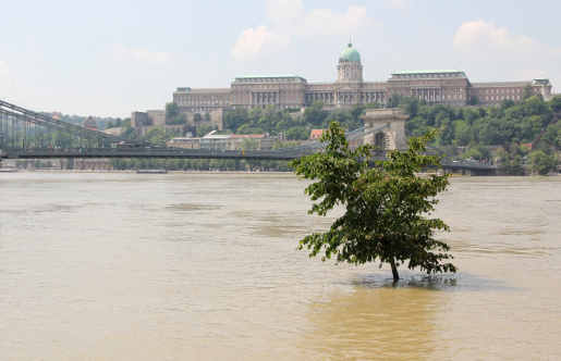 Flood plains at the bank of Rhine river in Cologne-Poll