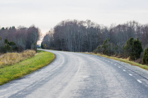 istock A country asphalt roadthrough the forests and fields, Estonia 1064732508