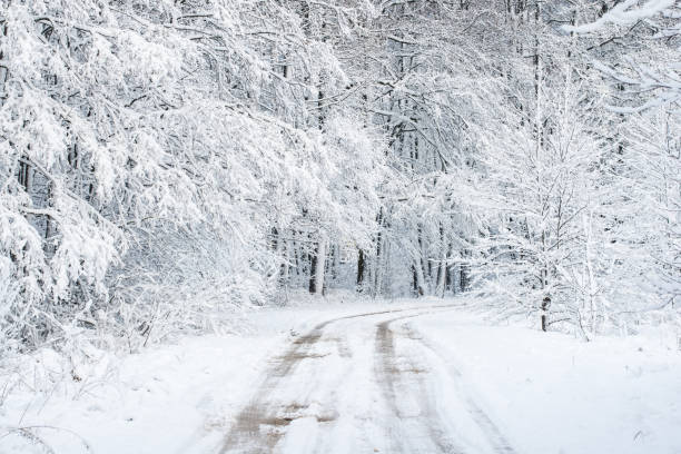 istock A road through the snow-covered forest, birch trees close-up, Latvia 1064732766