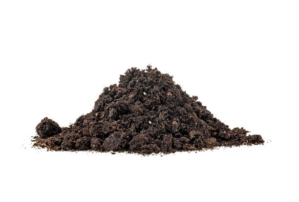 istock Pile of soil isolated on white background 1064733340