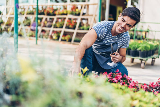 istock Taking care of the seedlings 1064738120