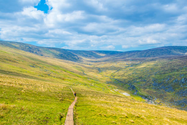 luftaufnahme des oberen und unteren sees in glendalough, irland - standing water grass area meadow lawn stock-fotos und bilder