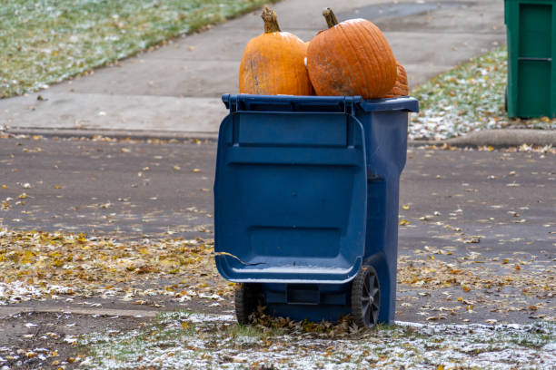 Giant pumpkins sitting in a trash dumpster waiting for garbage pickup after Halloween. Concept for changing seasons, food waste stock photo