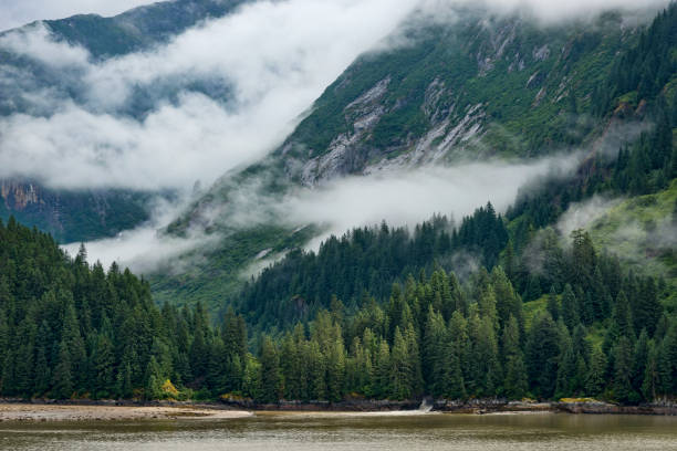 istock Misty mountain landscape, Alaska 1064740522