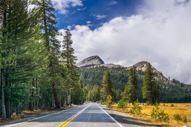 istock Scenic Yosemite National Park road 1064747764