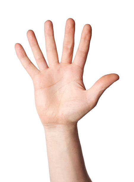 Human hand with six fingers in a white background stock photo