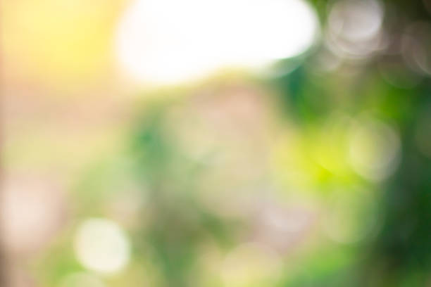 istock green blurred backdrop of nature, circle light wallpaper, white bokeh background 1064762166