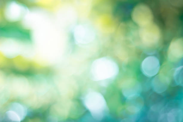 istock green blurred backdrop of nature, circle light wallpaper, white bokeh background 1064762170
