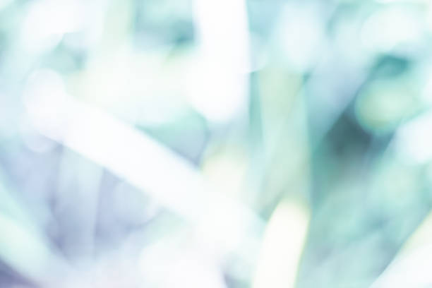 istock green blurred backdrop of nature, circle light wallpaper, white bokeh background 1064762184