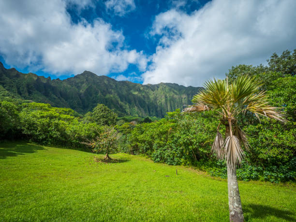 istock Blue sky over green montains. 1064762334