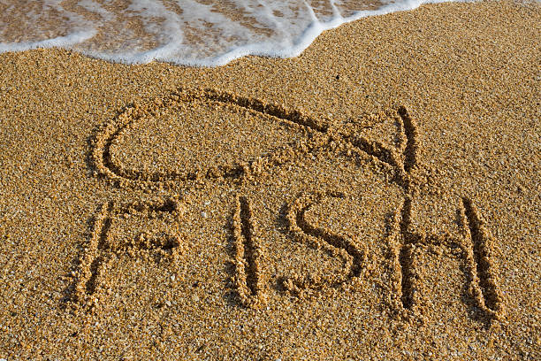 istock Fish symbol drawn in the sand 106476771
