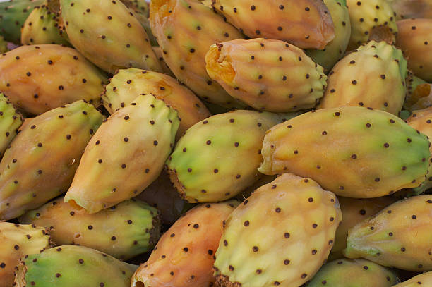 kaktusfeige - prickly pear fruit cactus prickly pear cactus yellow stock-fotos und bilder