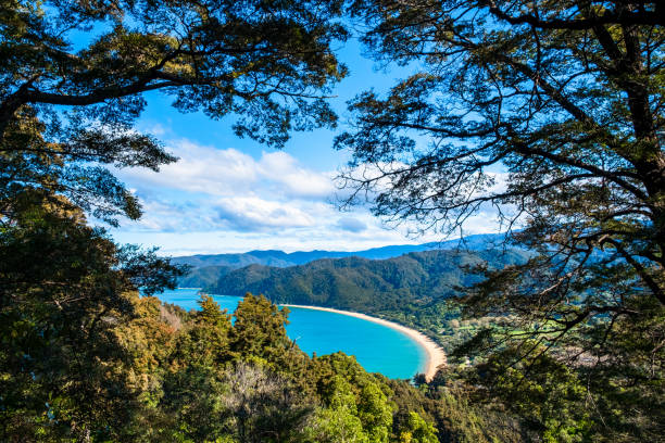 uma bela praia no litoral no abel tasman national park, ilha sul, nova zelândia. - golden bay - fotografias e filmes do acervo