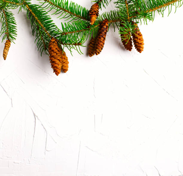 istock Christmas background with fir tree branches and pine cones on white background. Top view, copy space. 1064774660