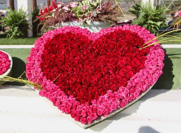 A heart shape collection of roses on display