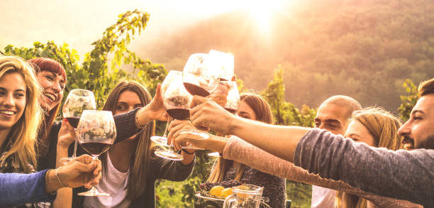 young friends having fun outdoors - happy people enjoying harvest time together at farmhouse winery countryside - youth and friendship concept - hands toasting red wine glass at vineyard before sunset - wine dinner party drinking toast imagens e fotografias de stock