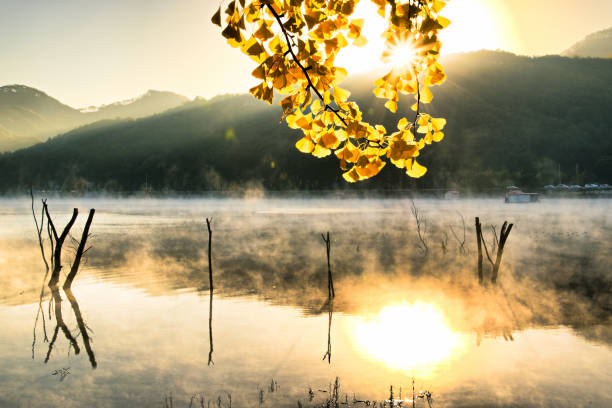 istock VD702 Sunrise at the reservoir 1064796818