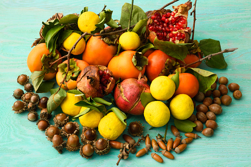 High angle view of Autumn fruits and acorn on blue wooden rustic background.