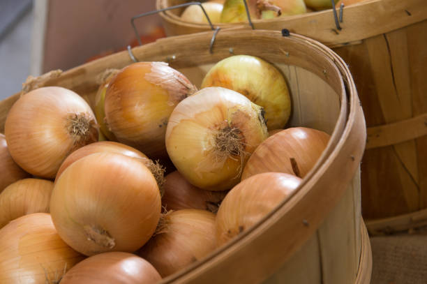 istock bunch of Onions 1064809768