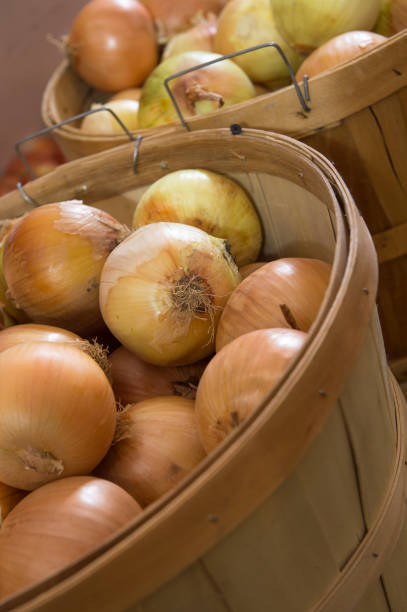 istock bunch of Onions 1064809774