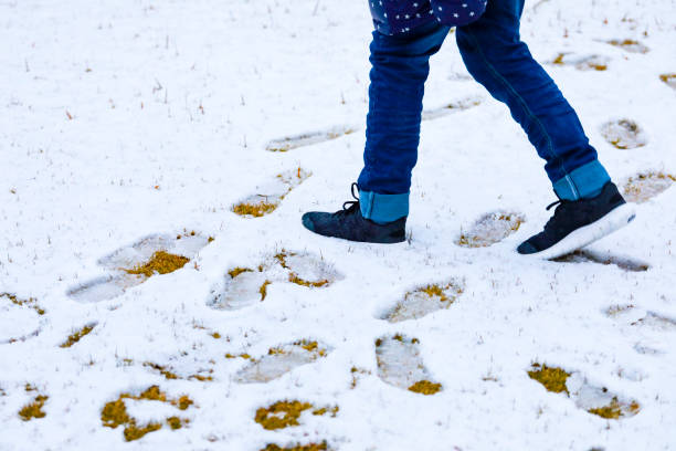 istock footprint on the snow field 1064816270