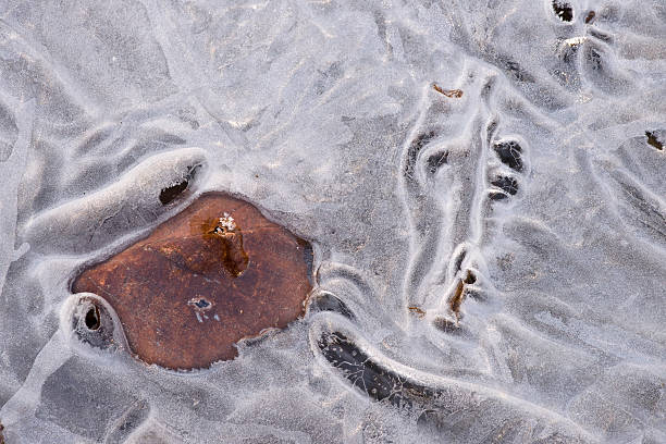 Congelado após um frio de Inverno à noite - fotografia de stock