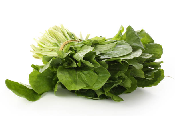 istock Organic Pak_Choi （small Chinese cabbage） on white background 1064819590