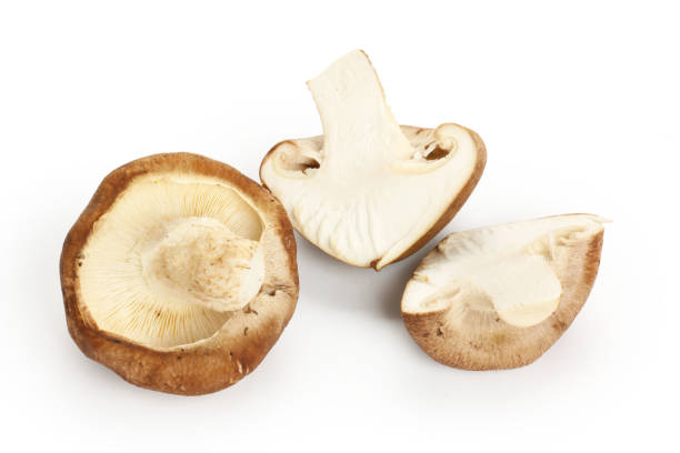 istock shiitake mushrooms isolated on a white background 1064819872