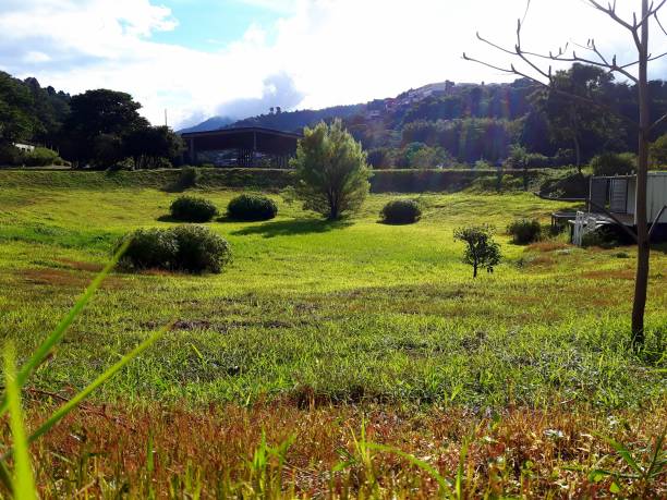 istock Rural panoramic landscape of green fields 1064833974