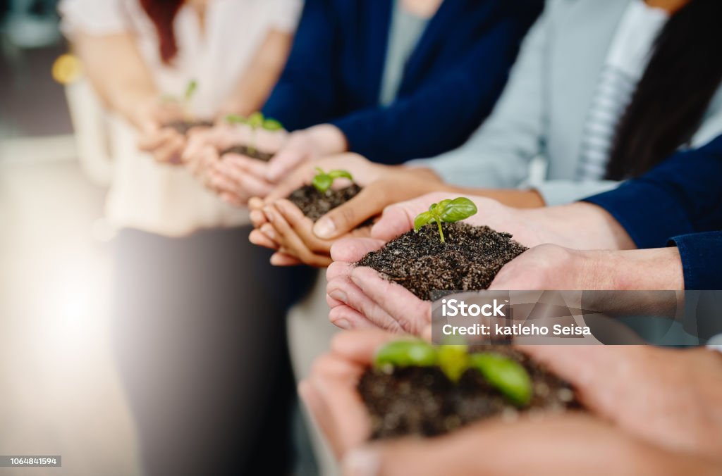 Taking business from the ground up Closeup shot of a group of businesspeople holding plants growing out of soil Sustainable Lifestyle Stock Photo