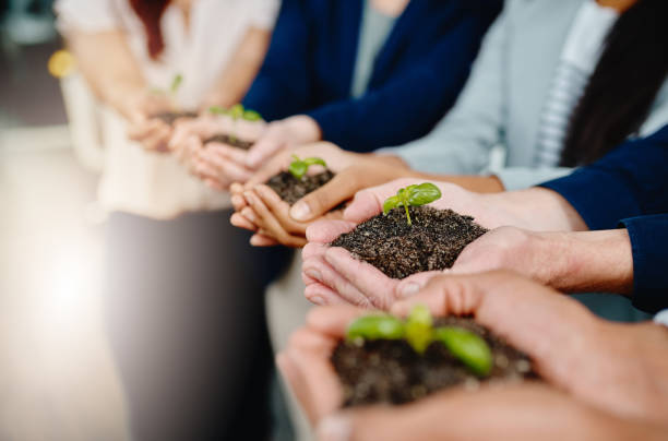 Taking business from the ground up Closeup shot of a group of businesspeople holding plants growing out of soil responsible business stock pictures, royalty-free photos & images