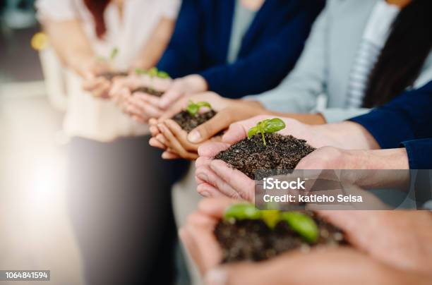 Taking Business From The Ground Up Stock Photo - Download Image Now - Sustainable Lifestyle, Sustainable Resources, Business