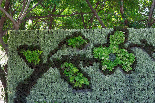istock Decorative vertical landscaping in the park. 1064841730