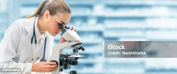 Scientist Researcher Uses Microscope In Laboratory Stock Photo - Download Image Now - Microscope, Scientist, Healthcare And Medicine