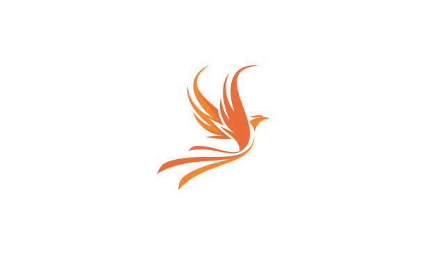 Vector Libre De Ilustracion De Icono De Fuego Vector En Vecteezy Vector Libre De Ilustracion De Icono De Fuego Vector En Vecteezy