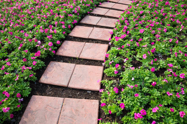 istock Walkway in the park. 1064849468