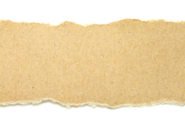 istock brown ripped paper on white background, have copy space for put text 1064853206