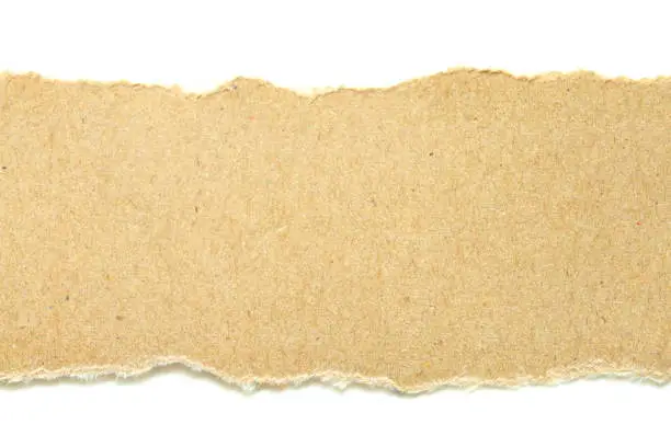 Photo of brown ripped paper on white background, have copy space for put text